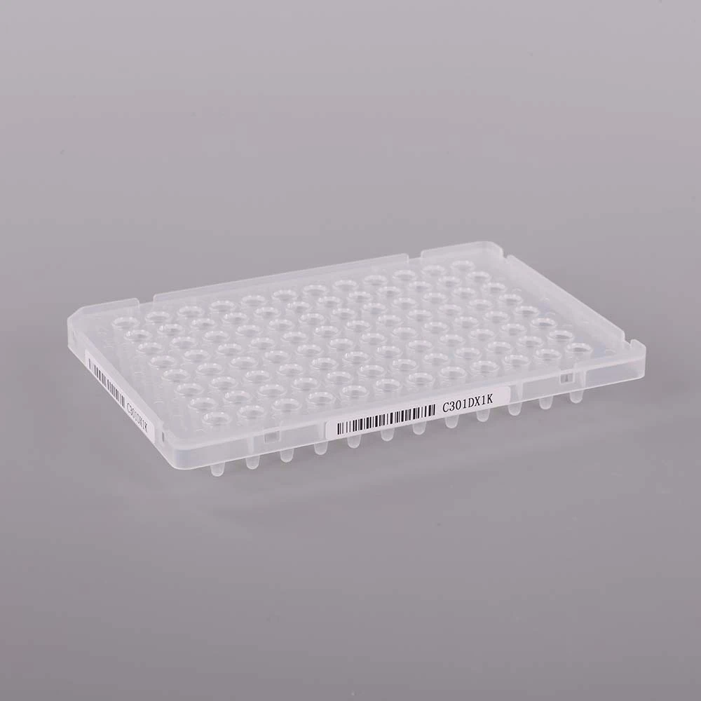 2J3A0134