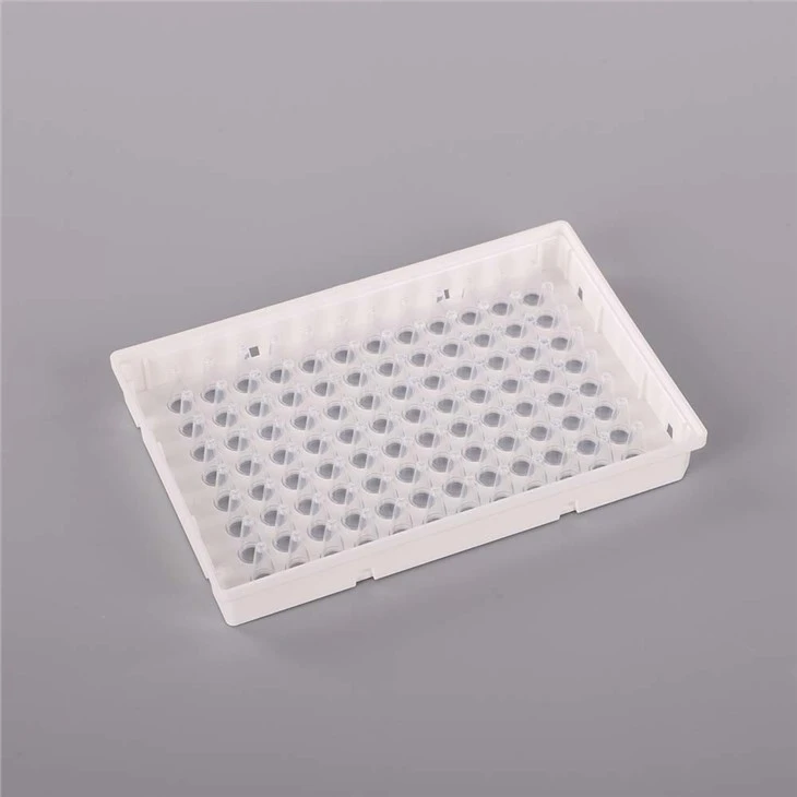 PCR Plate wholesale